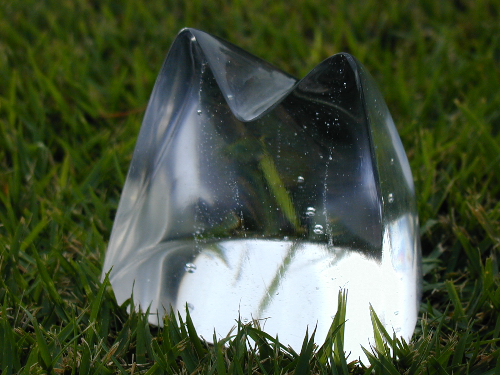 glass_cat