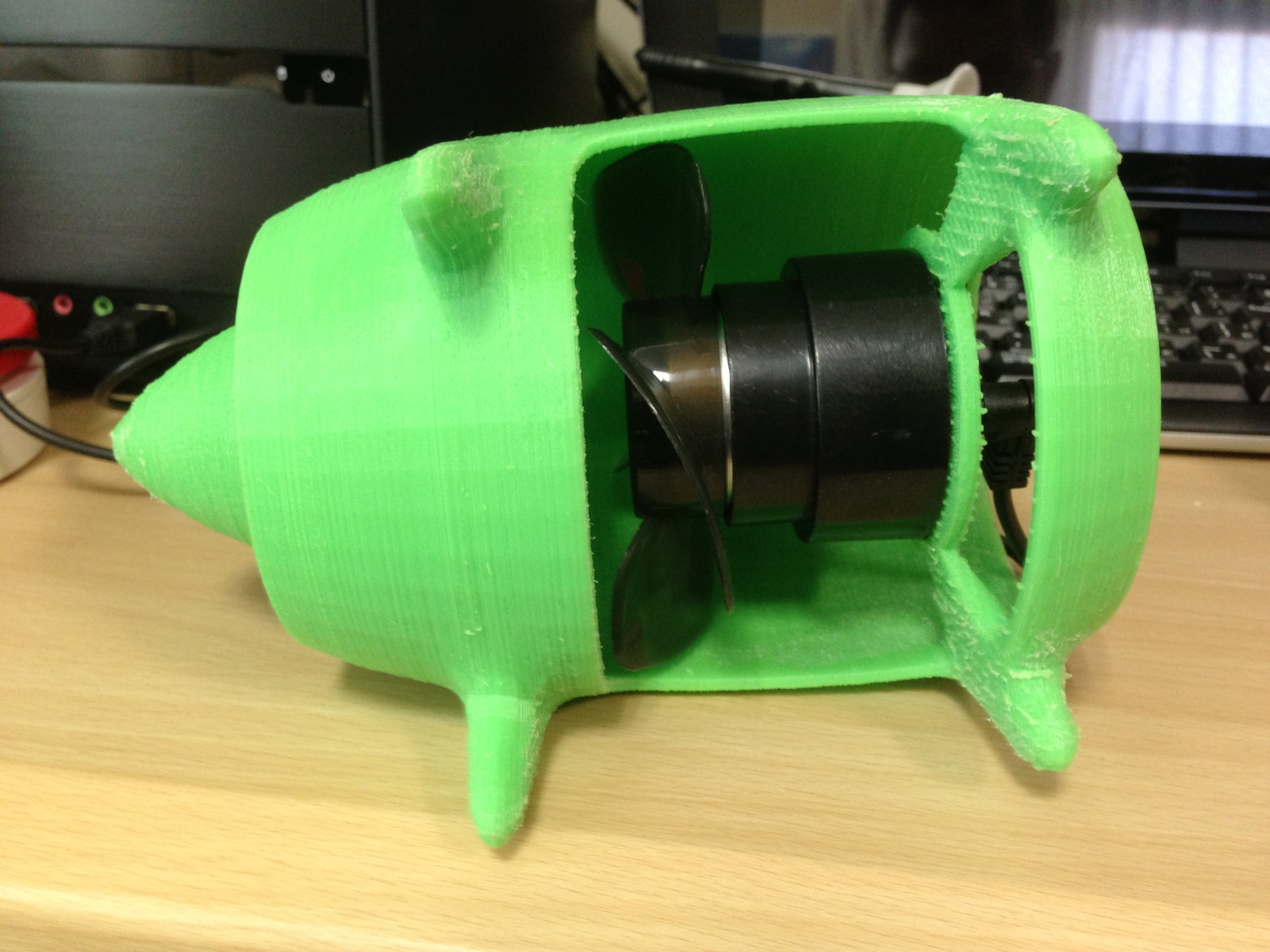 pig_fan_2