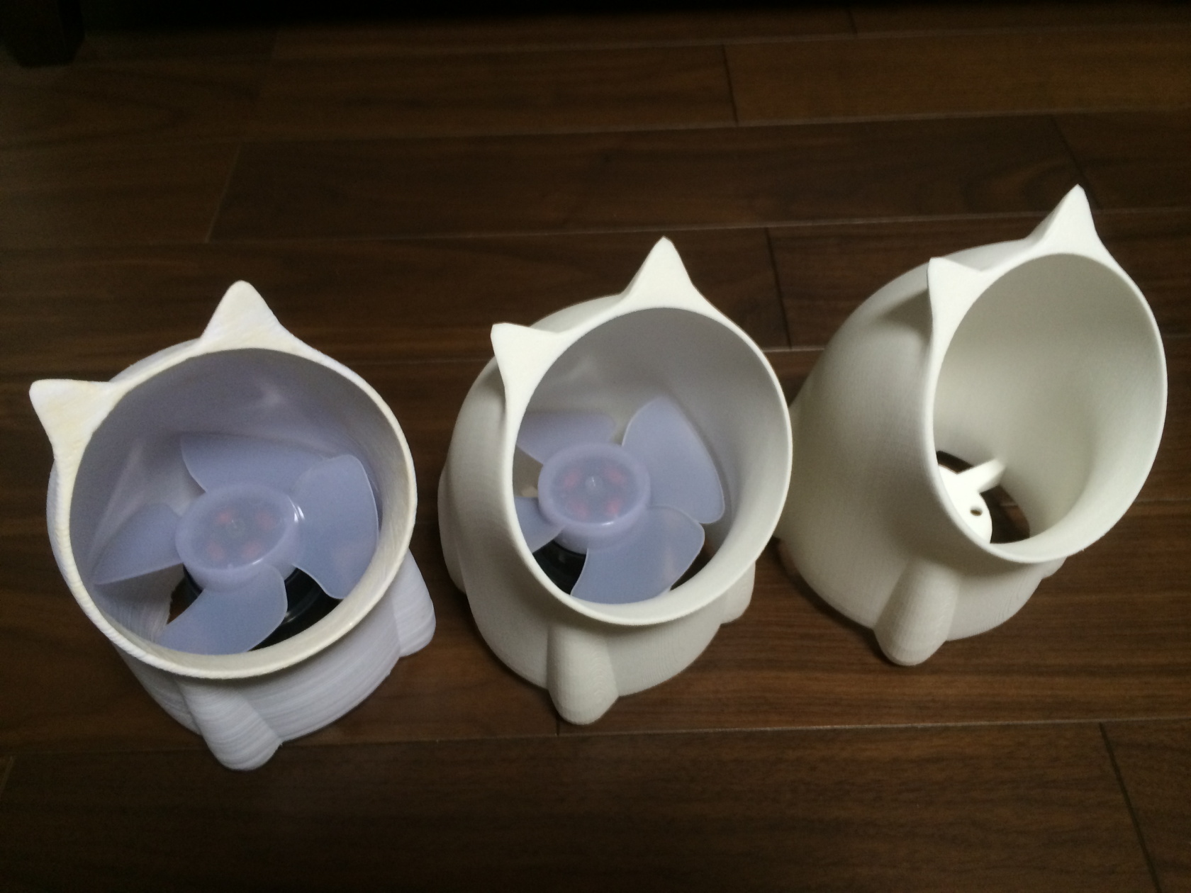 cat_fan_2